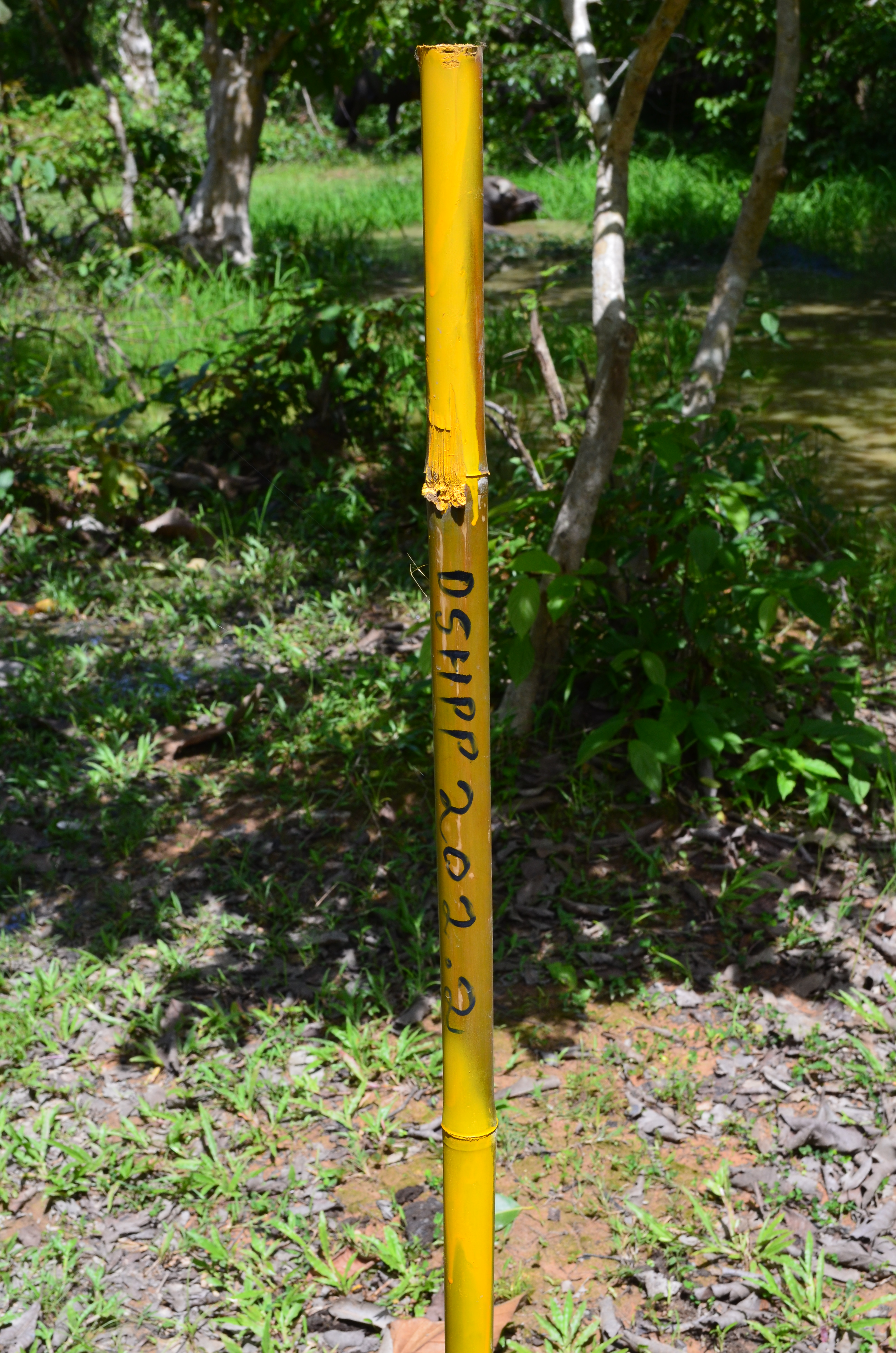 Land Marked for the Don Sahong's Access Roads