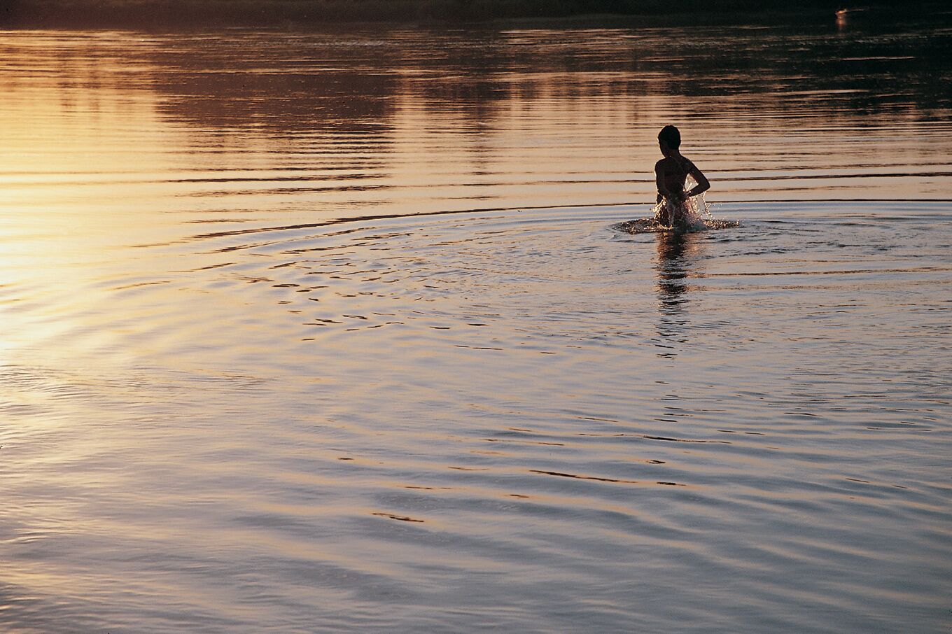 Swimming at dusk.