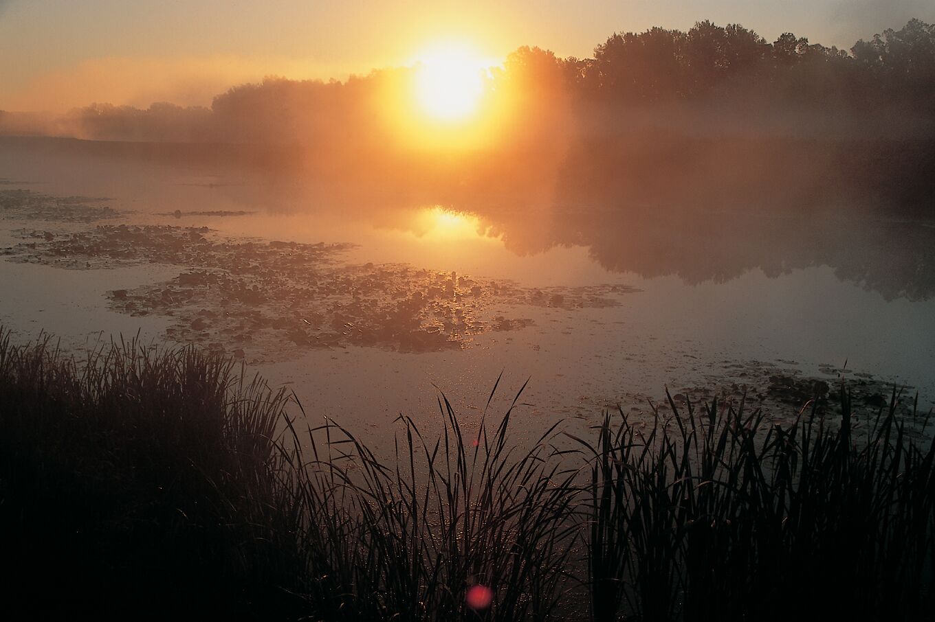 Sunset over the river.
