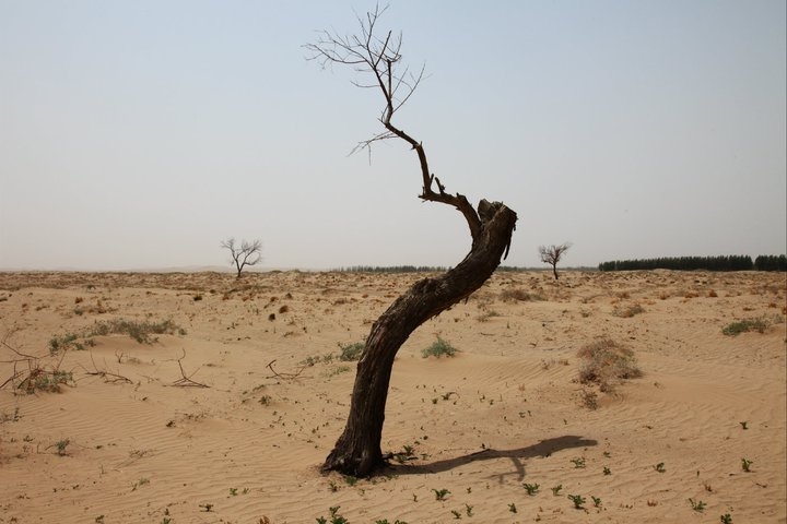 The desert expands in China's Gansu Province