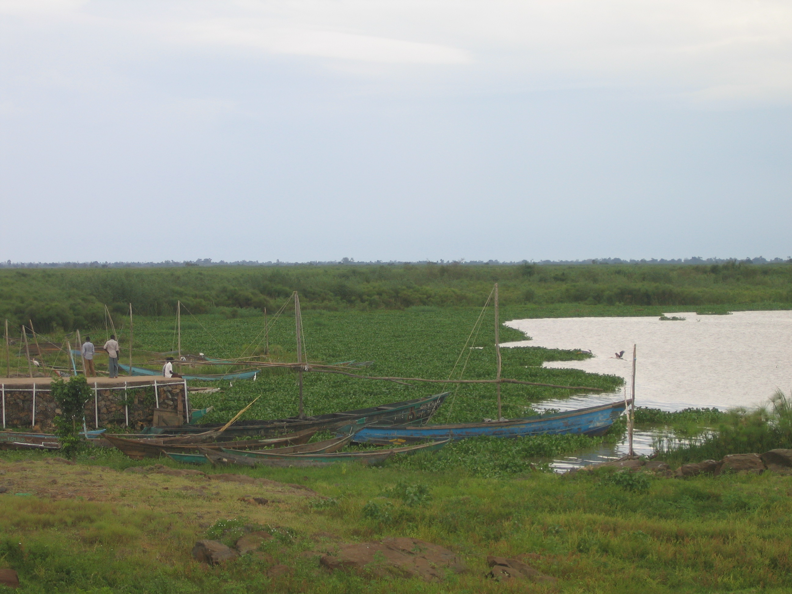 Lake Victoria jetty left high and dry by falling waters