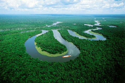 Rivers need to be “unbroken” to maintain healthy habitats. Dams proposed for the Amazon, for example, would fragment the river in ways that would harm the region’s rich tapestry of life.