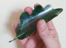 A Solar Botanic nano-leaf.