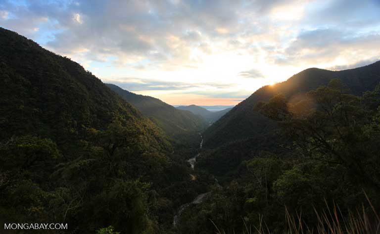 A rainforest valley in the upper Amazon. 
